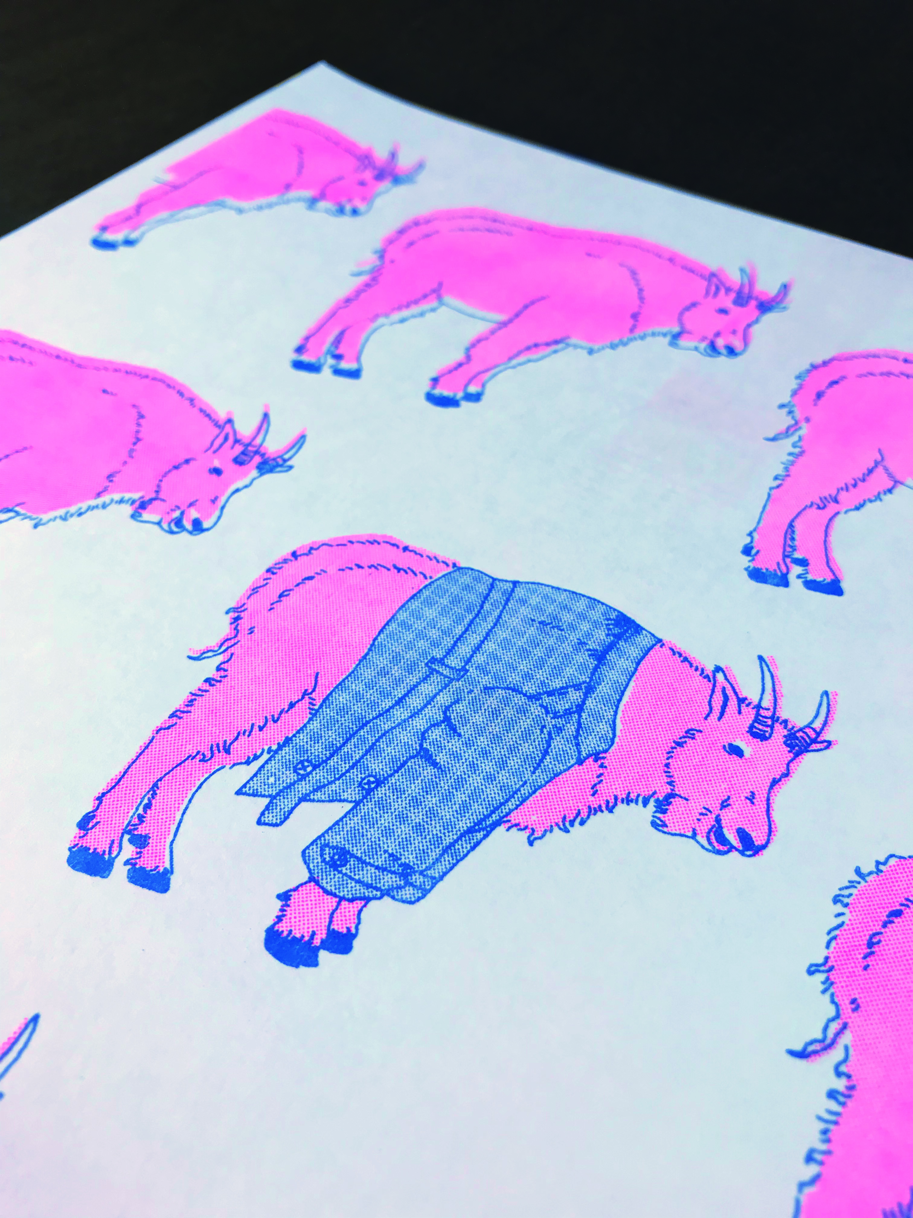 a closeup of an interior page spread of the Crocs page.